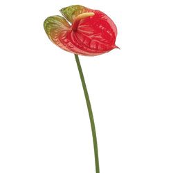 Red/Green