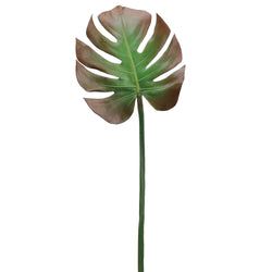 Green/Brown