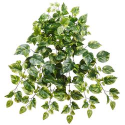 Green/Variegated