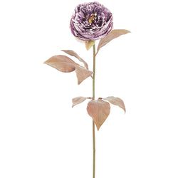 Options – Purple