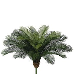 24 Fronds - 36"