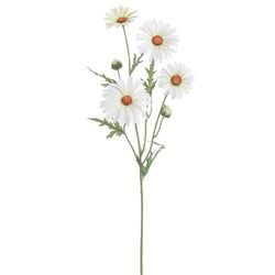 Options – White