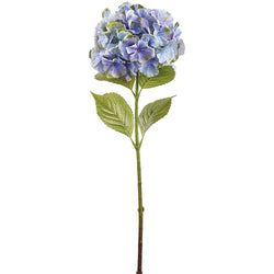 Lavender/Green