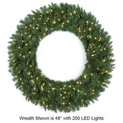 60" LED Lights