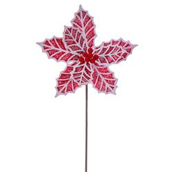 Red/White