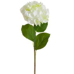 Cream/Green