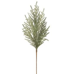 Green/Gray