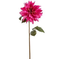 Options – Fuchsia