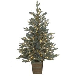 4' Potted