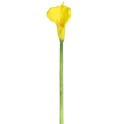 Options – Yellow