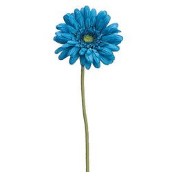 Dark Turquoise