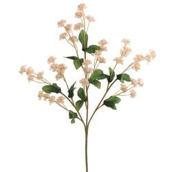 Options – Ivory