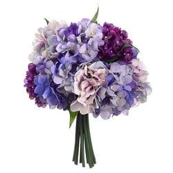Purple/Lavender