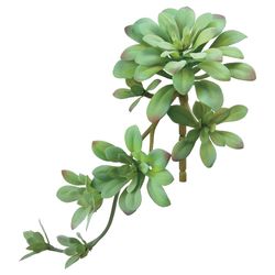 Green/Gray