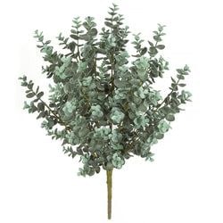 Gray/Green