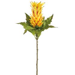 Options – Yellow/Orange