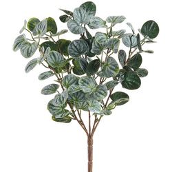Green/Gray