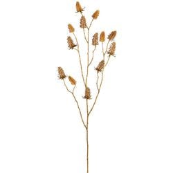 Beige/Brown
