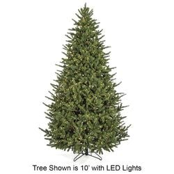 Options – 12' LED