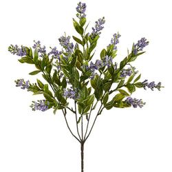 Lavender/Purple