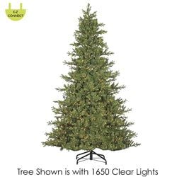 12' Multi Functional LED Lights