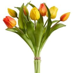 Options – Orange/Yellow