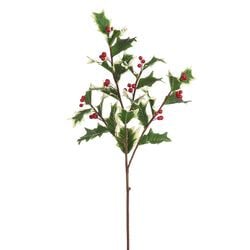32" Variegated/Red
