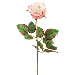 Options – Pink