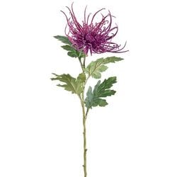 Options – Purple