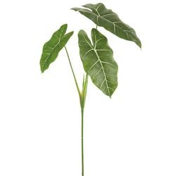 Options – Green/Variegated