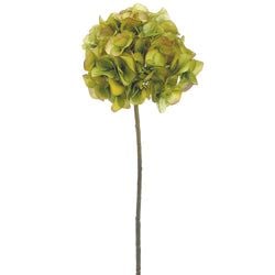 Green/Avocado