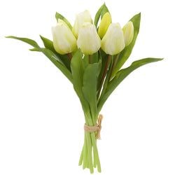 Options – White
