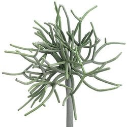 Green/Gray