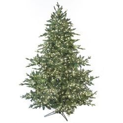 Options – 7'6" LED