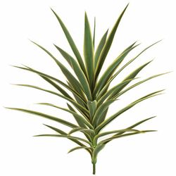 Green/Cream - UV-Resistant