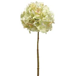 Options – Light Green