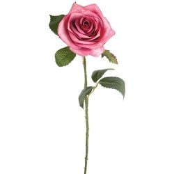 Options – Rose/Pink