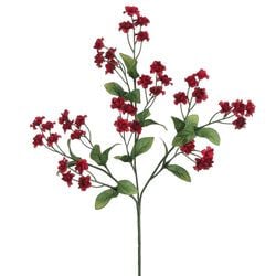 Options – Burgundy