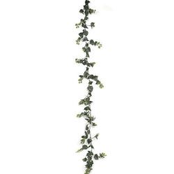 Green - no flowers
