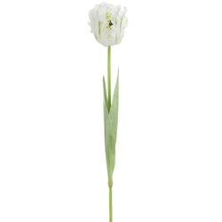 White/Green
