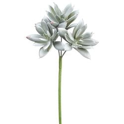 Gray/Green