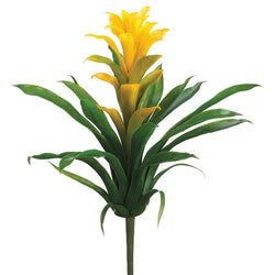 Yellow/Green