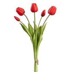 Options – Red