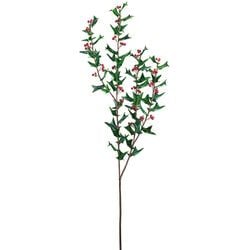 54" Green/Red