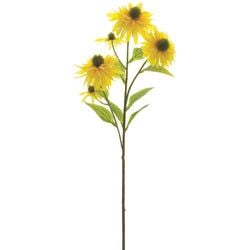 Options – Yellow