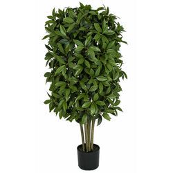 4'