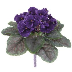 Options – Purple