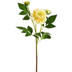 Soft Yellow