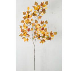 Options – Yellow/Brown