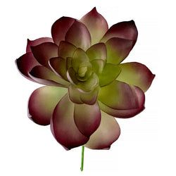 Purple/Green